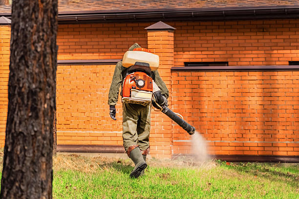 Trusted Ant Control service in Phillipsburg, KS - Nex Pest Control